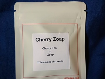Sell: CHERRY ZOAP (Cherry Dosi x Zoap) by LIT Farms