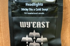 Vente: Headlights from Wyeast