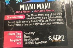 Sell: Solfire - Miami Mami