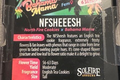 Vente: Solfire - Nfsheeesh (north fire cookies x Bahama mama)