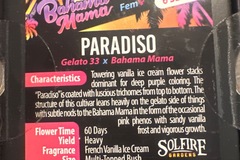 Vente: Solfire - Paradiso (gelato 33 x Bahama mama)