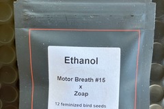 Venta: Ethanol from LIT Farms