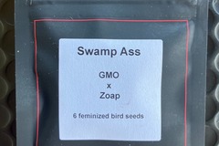 Vente: Swamp Ass from LIT Farms
