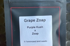 Sell: Grape Zoap from LIT Farms