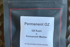 Venta: Permanent Oz from LIT Farms