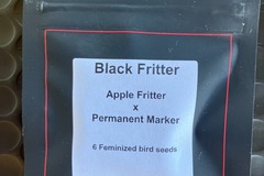 Venta: Black Fritter from LIT Farms