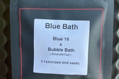 Venta: Blue Bath from LIT Farms