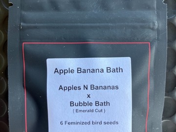 Vente: Apple Banana Bath from LIT Farms
