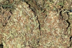 Venta: Fossil Fuel F2 by: TwinFlameSeedCo.