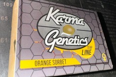 Venta: Karma Genetics - Orange Sorbet