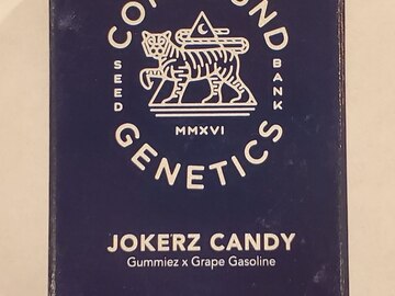 Sell: Compound Genetics - 'Jokerz Candy' (Gummiez x Grape Gasoline)