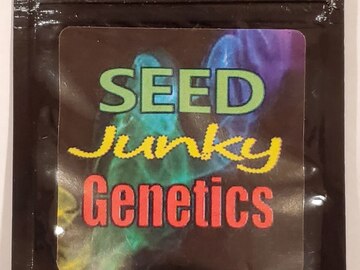 Vente: Seed Junky - 'Kush Mints F2'