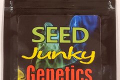 Venta: Seed Junky - 'The Menage'