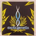 Venta: Exoticgenetix - 'Designer Runtz' (Luxuriotti x Runtz)