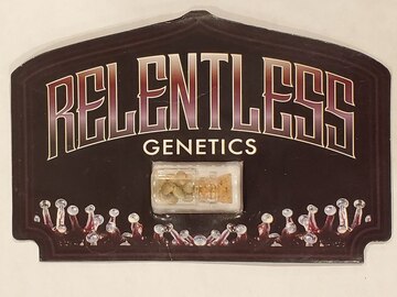 Relentless Genetics - 'Cherry Banana Split'