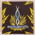 Venta: Exoticgenetix - 'Popscotti' (Biscotti x Red Pop)