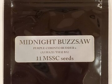 Magic Spirit Seed Co. - 'Midnight Buzzsaw'