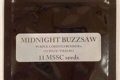 Venta: Magic Spirit Seed Co. - 'Midnight Buzzsaw'