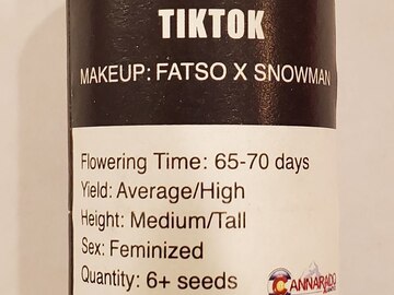 Cannarado - 'TikTok' (Fatso x Snowman)