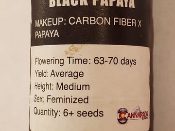 Cannarado - 'Black Papaya' (Carbon Fiber x Papaya)