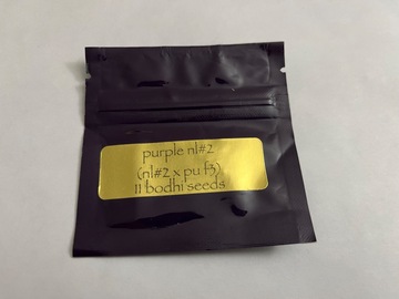 Bodhi Seeds - Purple NL2