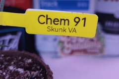 Vente: Chem 91 (SkunkVA | + 1 Free Mystery Clone)