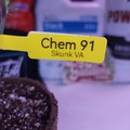 Venta: Chem 91 (SkunkVA | + 1 Free Mystery Clone)