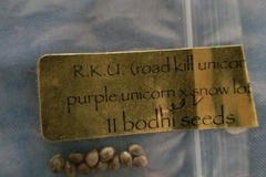Vente: Road kill unicorn. Bodhi seeds