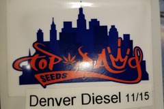 Vente: Denver Diesel Topdawg seeds