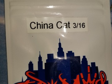 Sell: China Cat Topdawg seeds