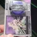 Venta: Lilac jack brand new sealed 15+regular power purps