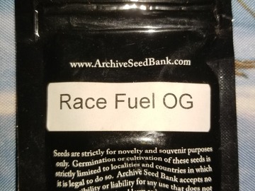 Sell: Race fuel Og Archive seeds
