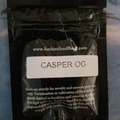 Vente: Casper Og Archive seeds