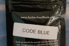 Venta: Code Blue Archive seeds