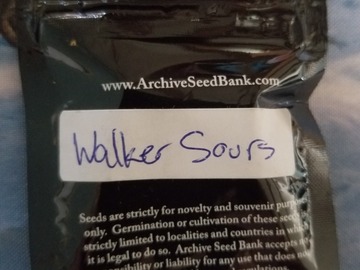 Sell: Walker Sours Archive seeds