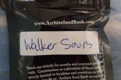 Venta: Walker Sours Archive seeds