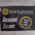 Vente: TREASURE ISLAND high cbd 7 feminized seeds sealed pack