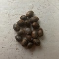 Sell: 10 x ABC  seeds