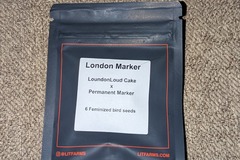 Vente: London Marker (London Loud Cake x Permanent Marker)