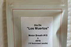 Venta: Dia De "Los Muertos" from LIT Farms