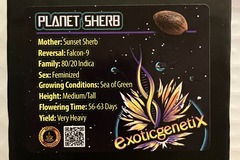 Sell: Planet Sherb from Exotic Genetix