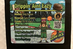 Venta: Drippin' Ain't Eazy from Exotic Genetix