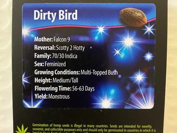 Vente: Dirty Bird from Exotic Genetix