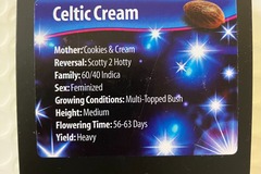 Venta: Celtic Cream from Exotic Genetix
