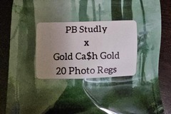 Sell: PB Studly x Gold Cash Gold - 20 Photo Regs