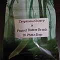 Vente: Tropicana Cherry x Peanut Butter Breath - 20 Photo Regs