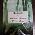Vente: Meatbreath x Blackberry Breath F2 - 20 Photo Regs