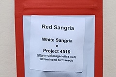 Venta: Lit Farms Red Sangria 10 Fems