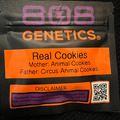 Venta: 808 Genetics Real Cookies 12 pack