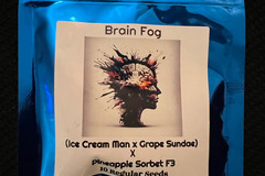Venta: Terpfi3nd Brain Fog 10 pack